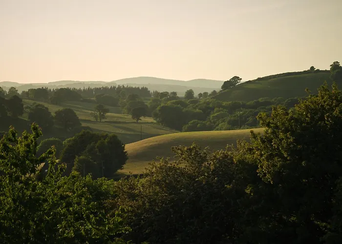Upper Gelli Luxury Holiday Lodge, Converted Dairy & Cosy Shepherds Huts