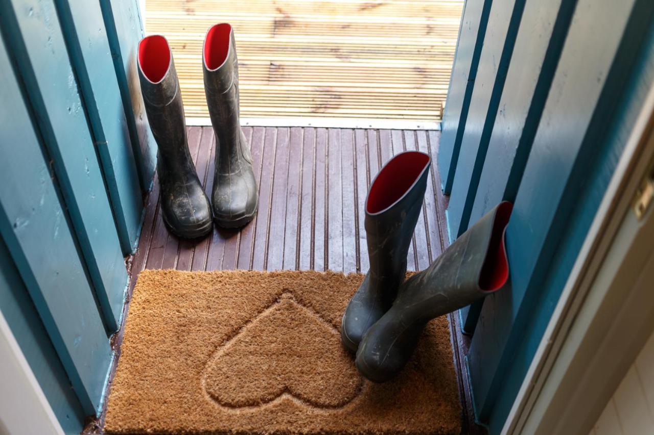 Upper Gelli Luxury Lodge, Converted Dairy & Cosy Shepherds Huts * Welshpool