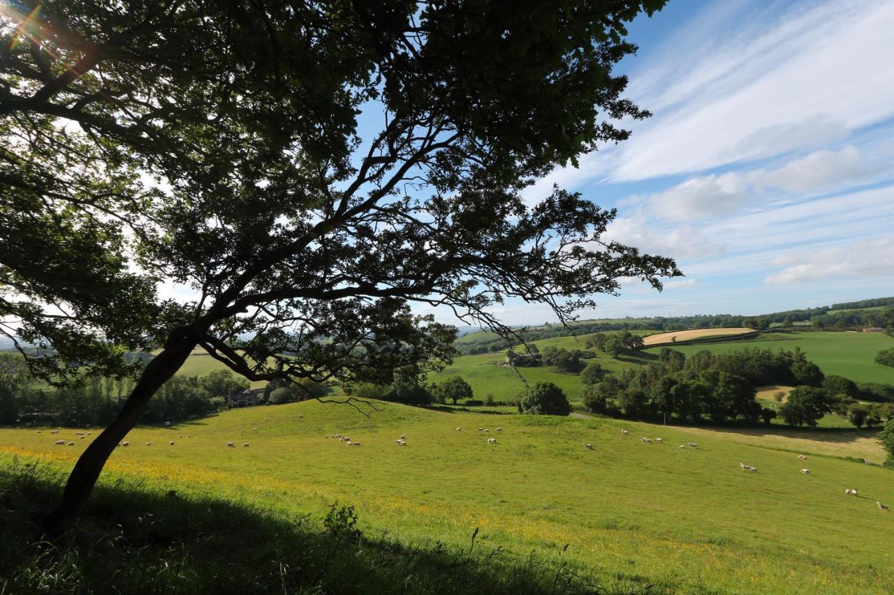 Upper Gelli Luxury Lodge, Converted Dairy & Cosy Shepherds Huts Holiday home