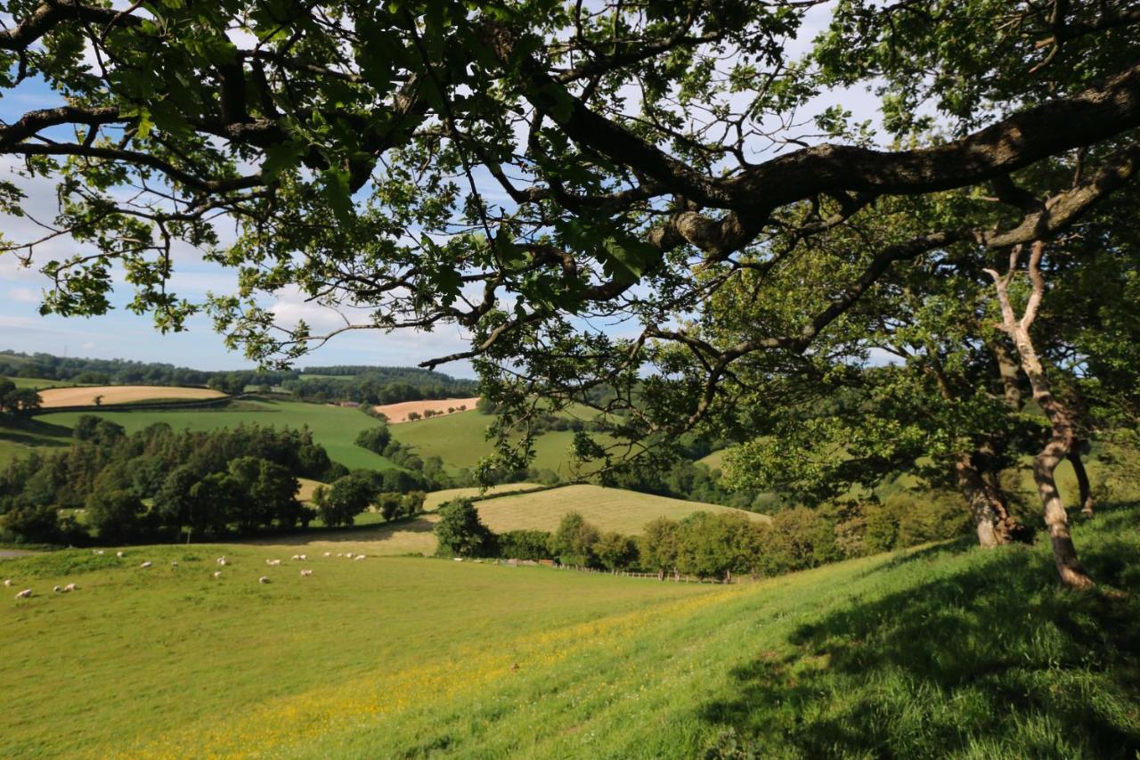 Upper Gelli Luxury Lodge, Converted Dairy & Cosy Shepherds Huts Holiday home Welshpool