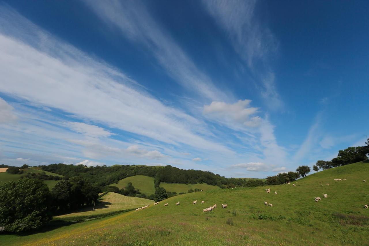 Upper Gelli Luxury Lodge, Converted Dairy & Cosy Shepherds Huts Holiday home Welshpool