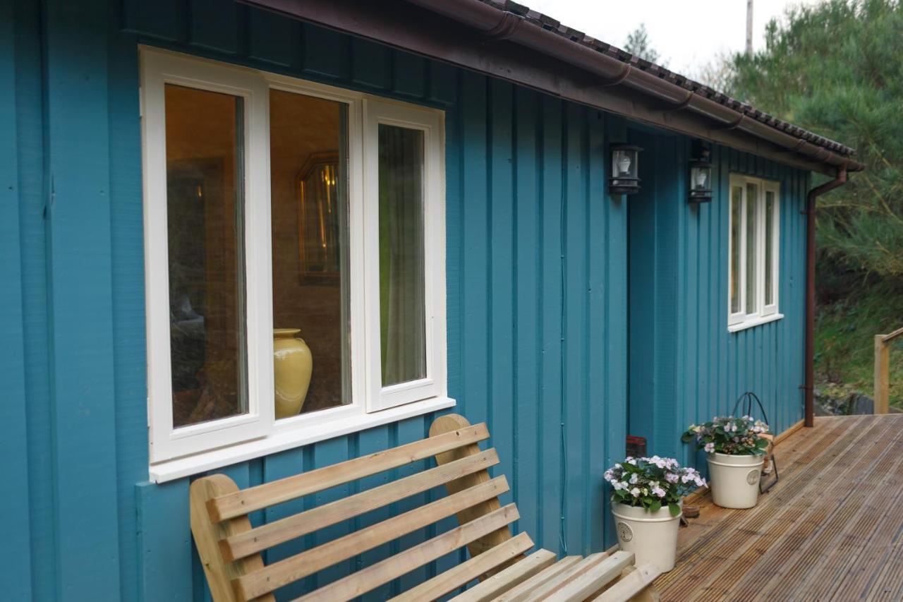 Upper Gelli Luxury Lodge, Converted Dairy & Cosy Shepherds Huts * Welshpool