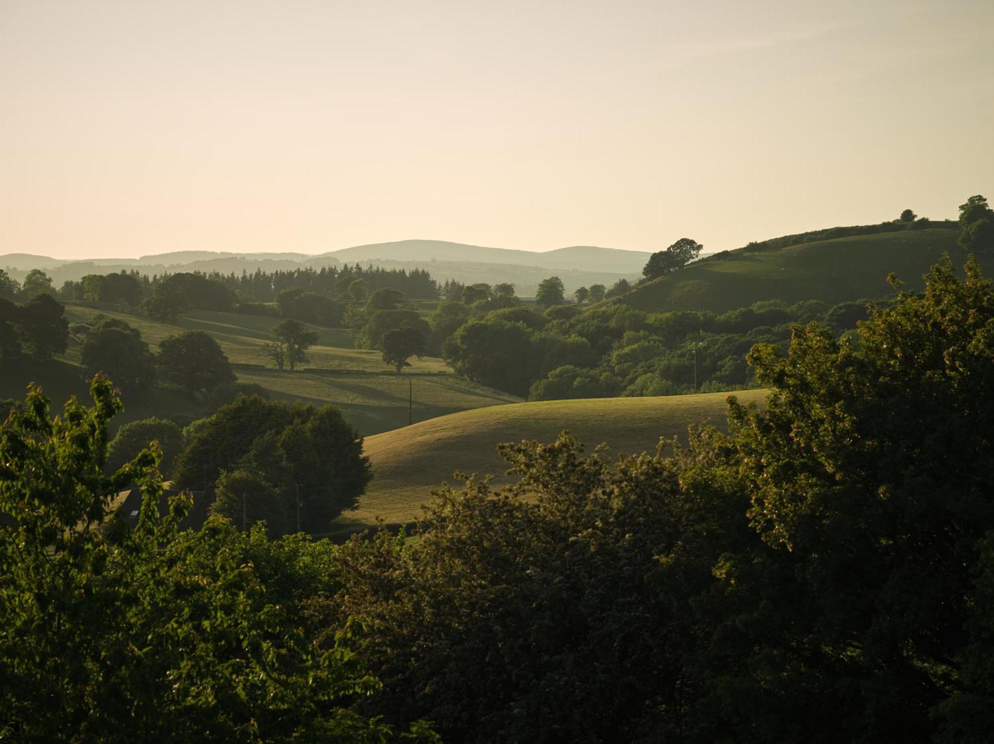 Holiday home Upper Gelli Luxury Lodge, Converted Dairy & Cosy Shepherds Huts Welshpool